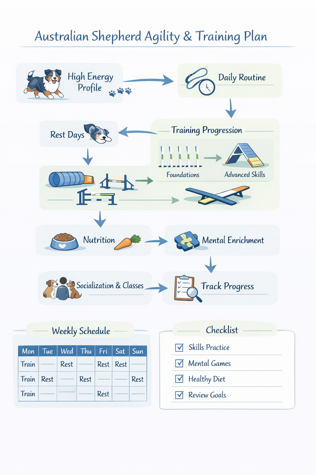 Infographic summarizing tips and steps for Australian Shepherd Agility and Advanced Training: Channeling Your Dog’s Energy